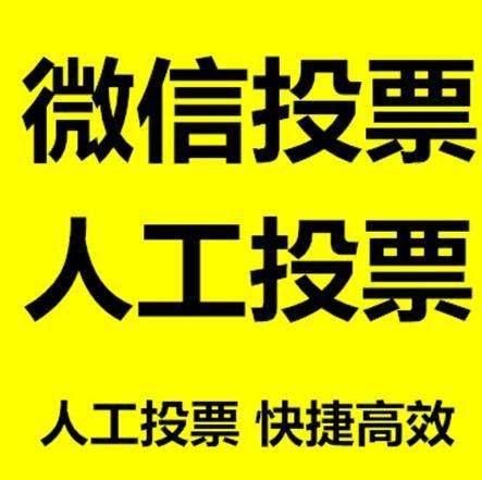 丽江市小程序微信拉票通过什么方式操作有哪些方法操作？